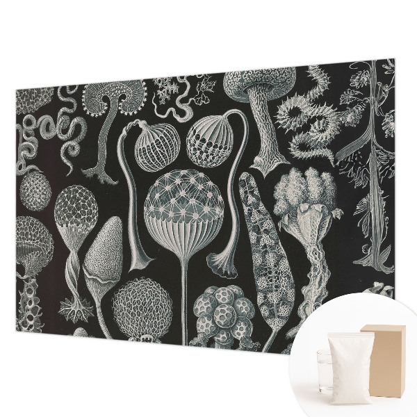 Dekoratyvinis fototapetas Magiske sodintuvas