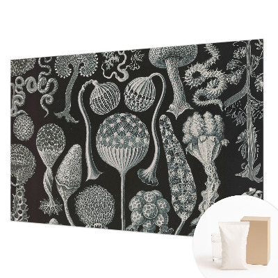 Dekoratyvinis fototapetas Magiske sodintuvas