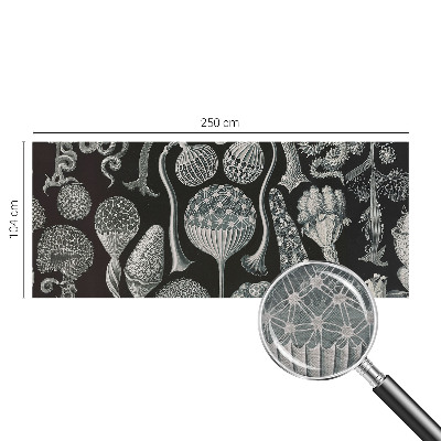 Dekoratyvinis fototapetas Magiske sodintuvas