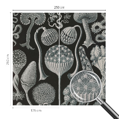 Dekoratyvinis fototapetas Magiske sodintuvas