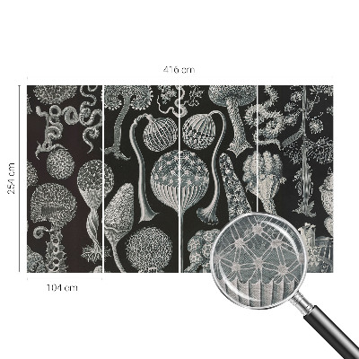 Dekoratyvinis fototapetas Magiske sodintuvas