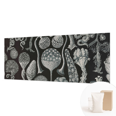 Dekoratyvinis fototapetas Magiske sodintuvas