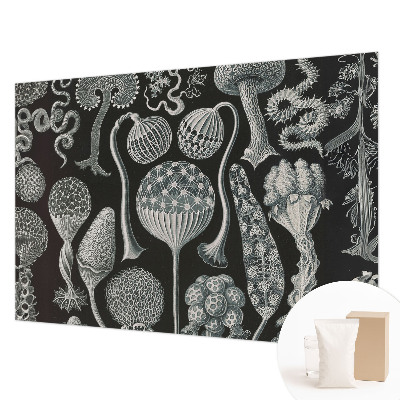 Dekoratyvinis fototapetas Magiske sodintuvas