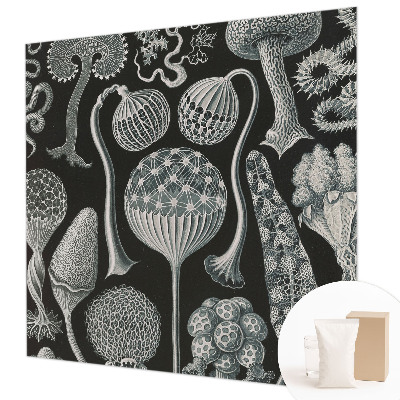 Dekoratyvinis fototapetas Magiske sodintuvas