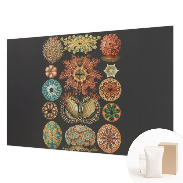 Fototapetas miegamajam Įkvėpėjas