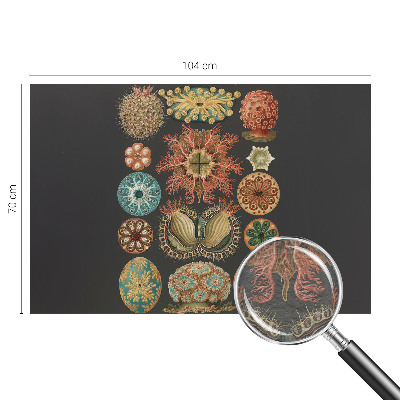 Fototapetas miegamajam Įkvėpėjas