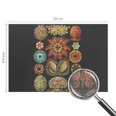 Fototapetas miegamajam Įkvėpėjas