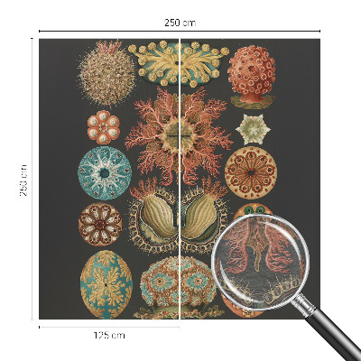 Fototapetas miegamajam Įkvėpėjas