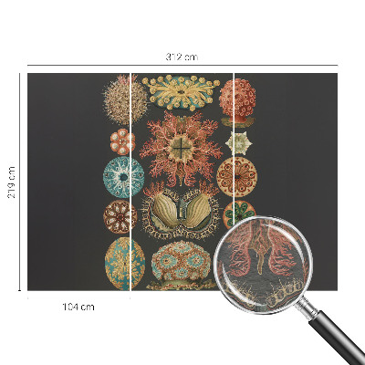 Fototapetas miegamajam Įkvėpėjas