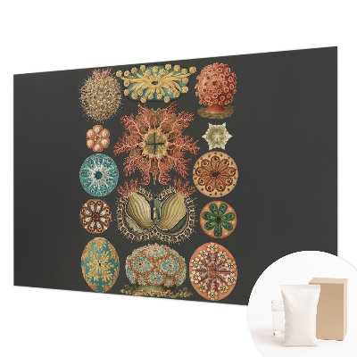 Fototapetas miegamajam Įkvėpėjas