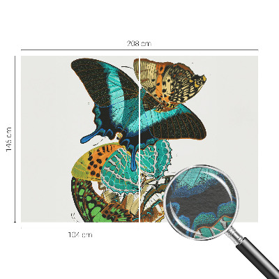 Tapetas Spalvinga vasaros fuglia