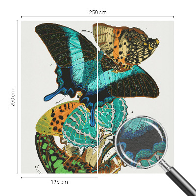 Tapetas Spalvinga vasaros fuglia