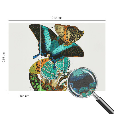 Tapetas Spalvinga vasaros fuglia