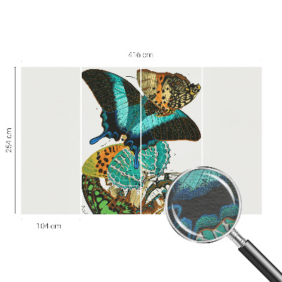 Tapetas Spalvinga vasaros fuglia