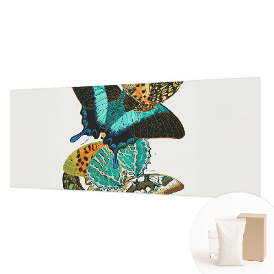 Tapetas Spalvinga vasaros fuglia