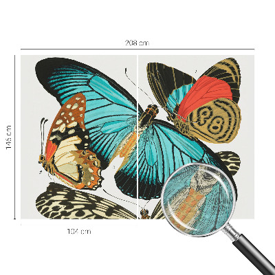 Flizelininis fototapetas Spalvinga vasaros fuglia