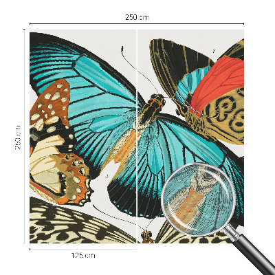 Flizelininis fototapetas Spalvinga vasaros fuglia