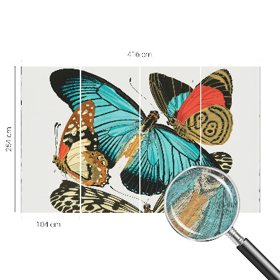 Flizelininis fototapetas Spalvinga vasaros fuglia