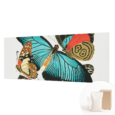 Flizelininis fototapetas Spalvinga vasaros fuglia