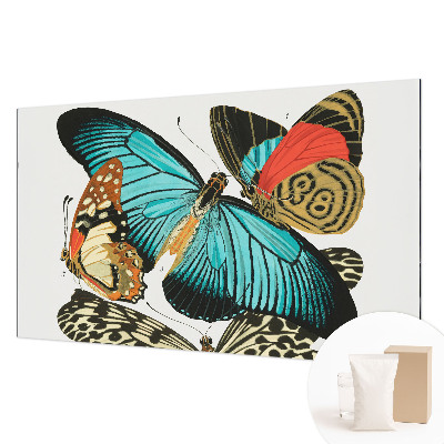 Flizelininis fototapetas Spalvinga vasaros fuglia