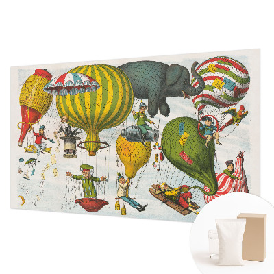 Plaunamas flizelininis fototapetas Balionų kruizai