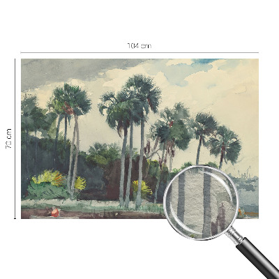 Fototapetas ant sienos su egzotine palmės iliustracija