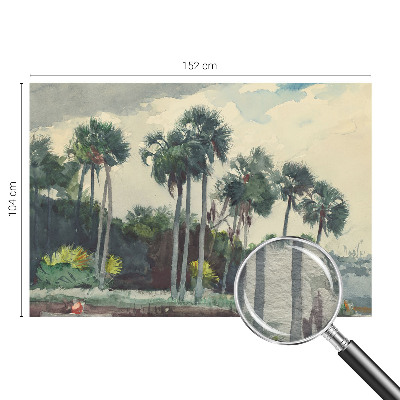Fototapetas ant sienos su egzotine palmės iliustracija