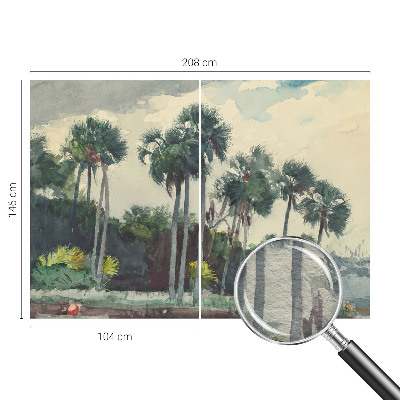 Fototapetas ant sienos su egzotine palmės iliustracija