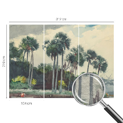 Fototapetas ant sienos su egzotine palmės iliustracija