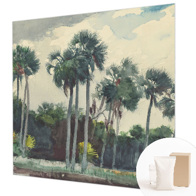 Fototapetas ant sienos Egzotinė palmė