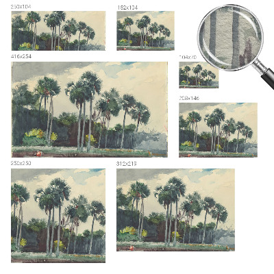Fototapetas ant sienos su egzotine palmės iliustracija