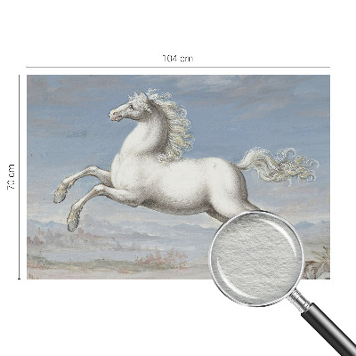 Fototapetas pagal matmenis Heste ir pavasaris