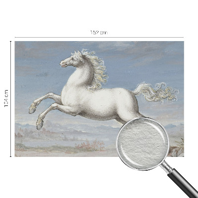 Fototapetas pagal matmenis Heste ir pavasaris