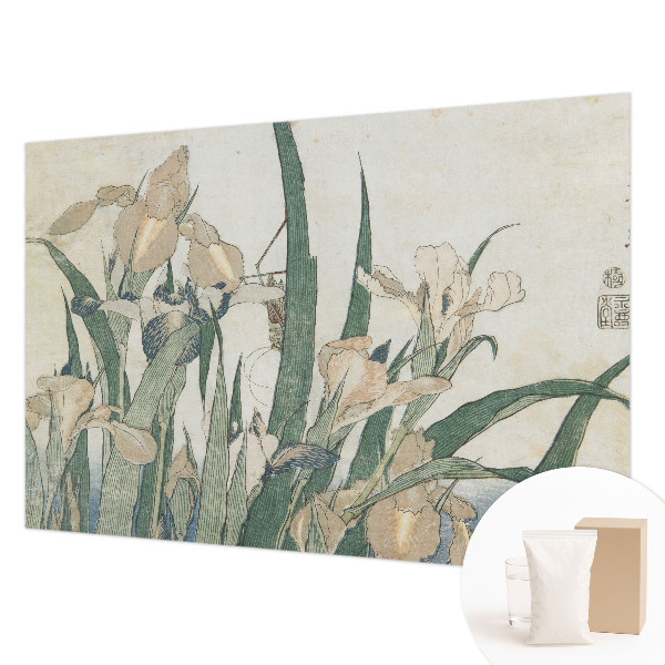 Modernus fototapetas Subtilus iriseris