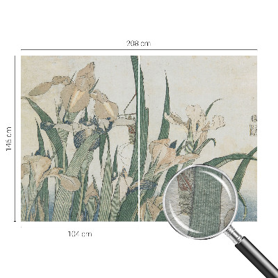 Modernus fototapetas Subtilus iriseris