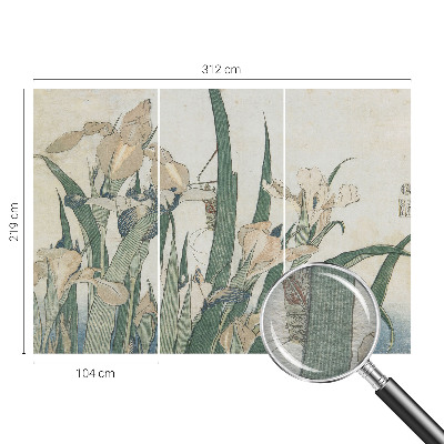 Modernus fototapetas Subtilus iriseris