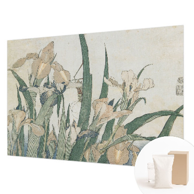 Modernus fototapetas Subtilus iriseris