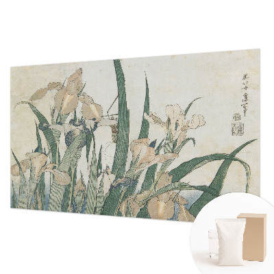 Modernus fototapetas Subtilus iriseris