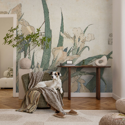 Modernus fototapetas Subtilus iriseris