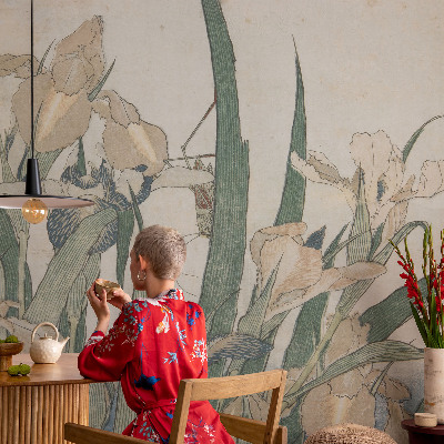 Modernus fototapetas Subtilus iriseris