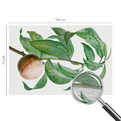 Fototapetas Moden fersken