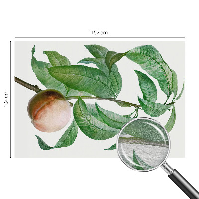 Fototapetas Moden fersken