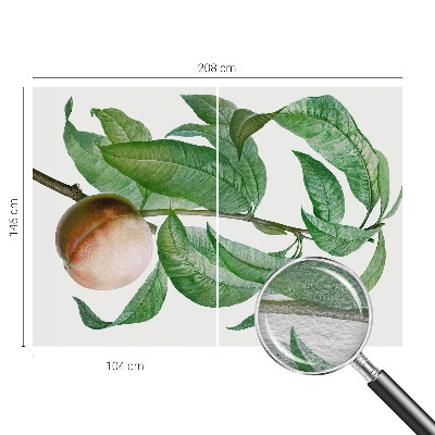 Fototapetas Moden fersken