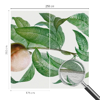 Fototapetas Moden fersken