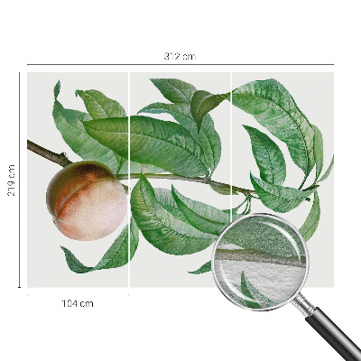 Fototapetas Moden fersken