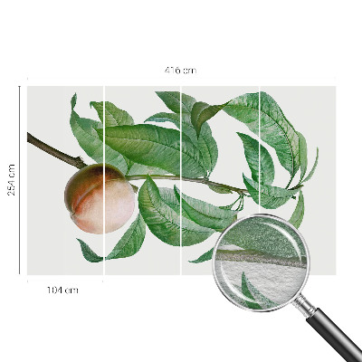 Fototapetas Moden fersken