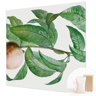 Fototapetas Moden fersken