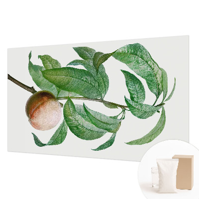 Fototapetas Moden fersken