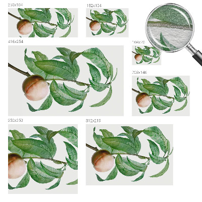 Fototapetas Moden fersken