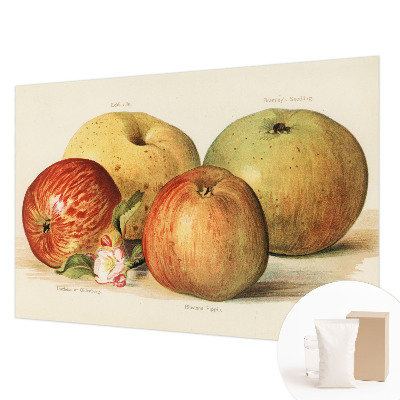 Tapetas Ebleblomsteris